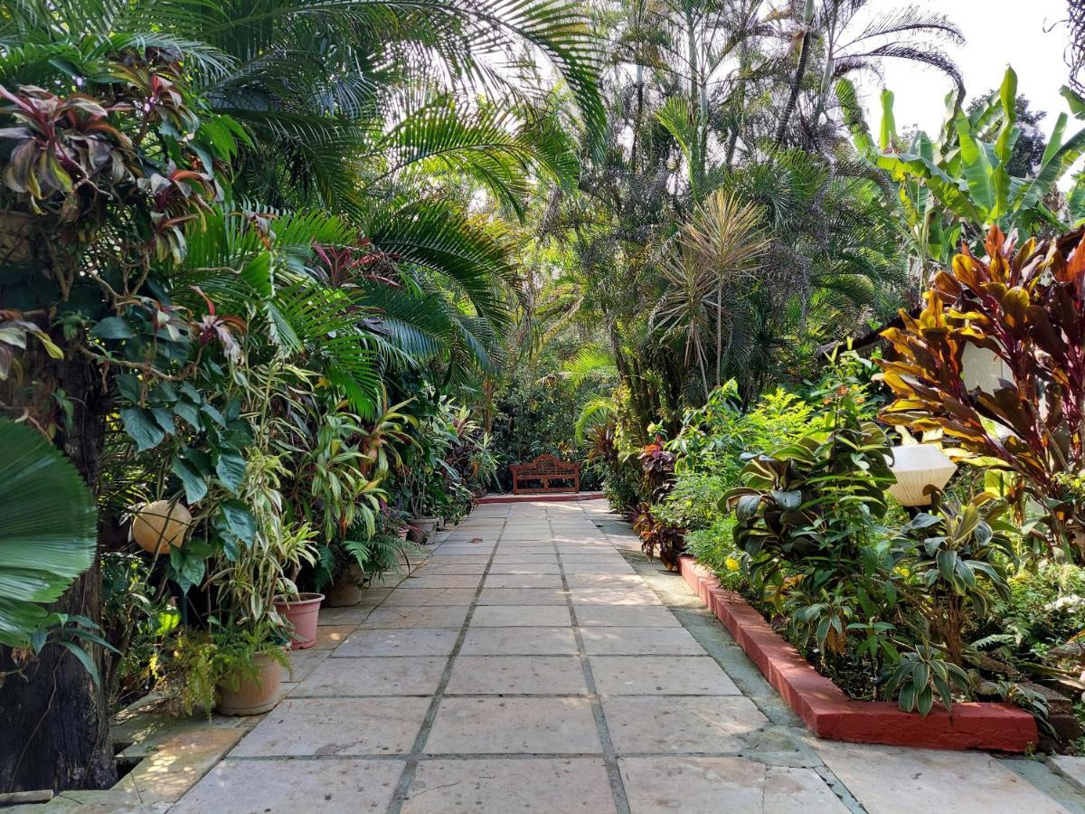 Palm Grove Cottages - Leisure Resort Benaulim Esterno foto