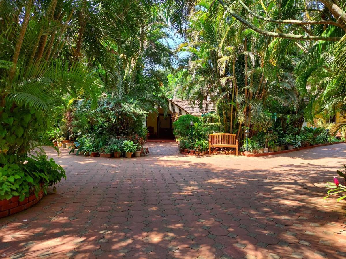 Palm Grove Cottages - Leisure Resort Benaulim Esterno foto