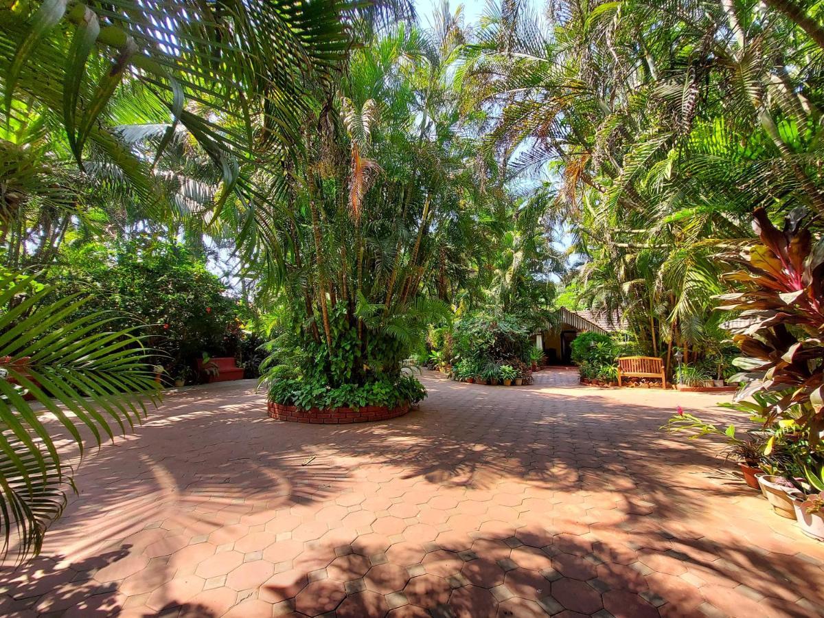 Palm Grove Cottages - Leisure Resort Benaulim Esterno foto
