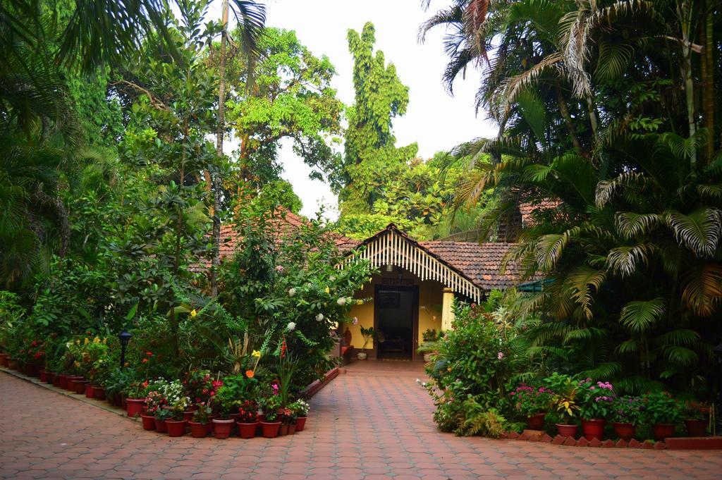 Palm Grove Cottages - Leisure Resort Benaulim Esterno foto