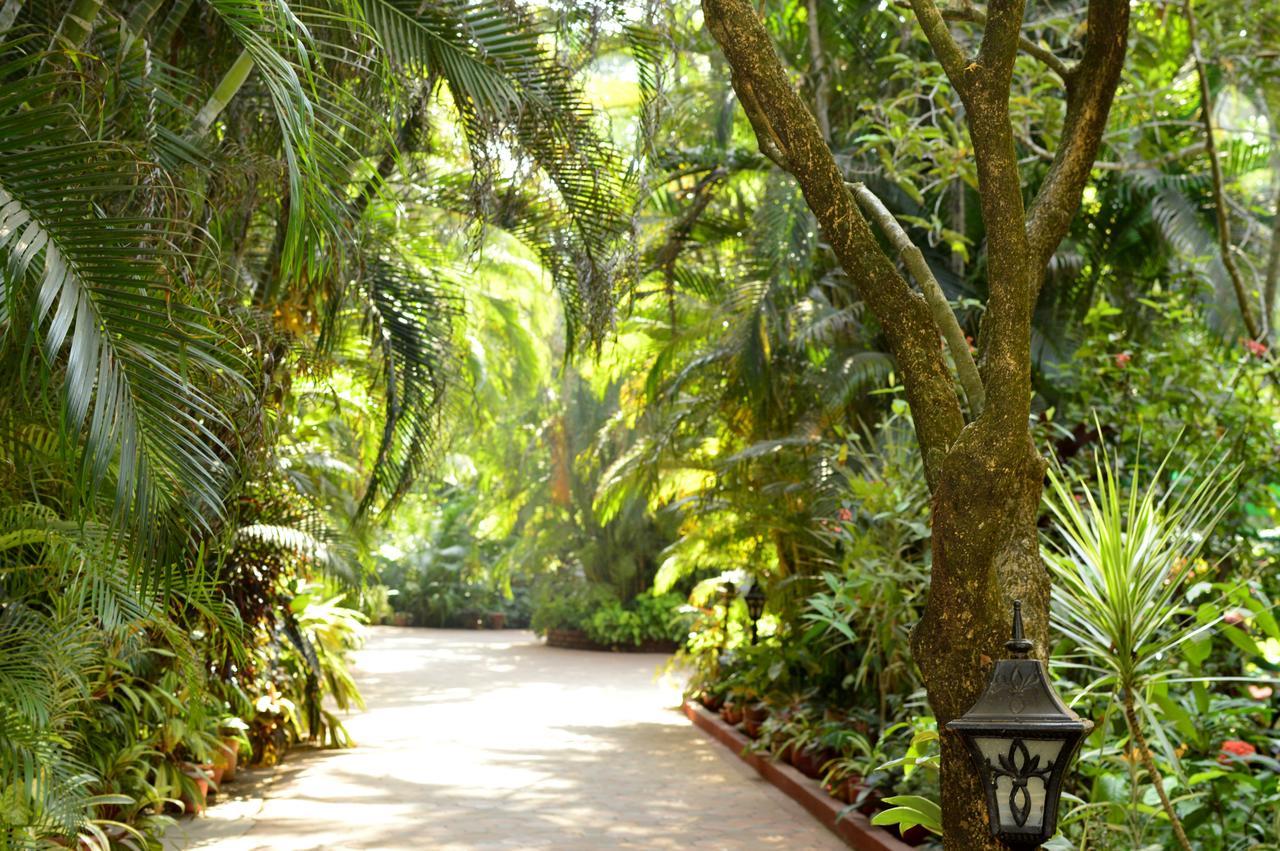 Palm Grove Cottages - Leisure Resort Benaulim Esterno foto