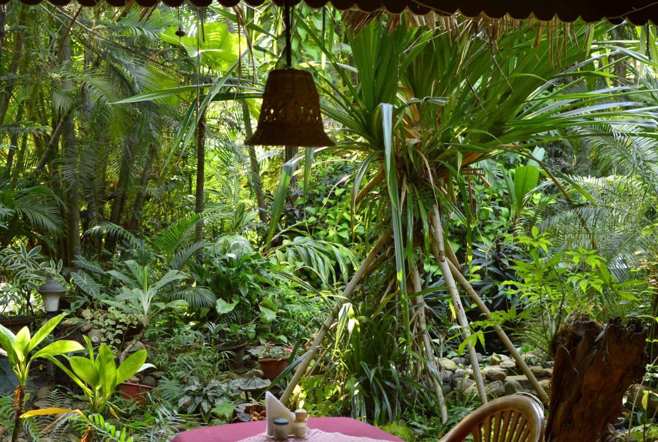 Palm Grove Cottages - Leisure Resort Benaulim Esterno foto
